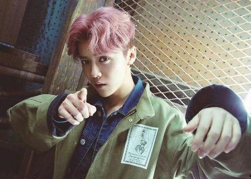 鹿晗爆料视频合集在线观看